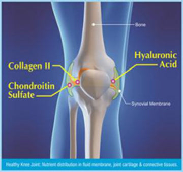 [mobileaid] BCC Biocell Collagen 500mg Veggie Capsules 90's (For Maintenance of Healthy Joints) [LOCAL SG DELIVERY]