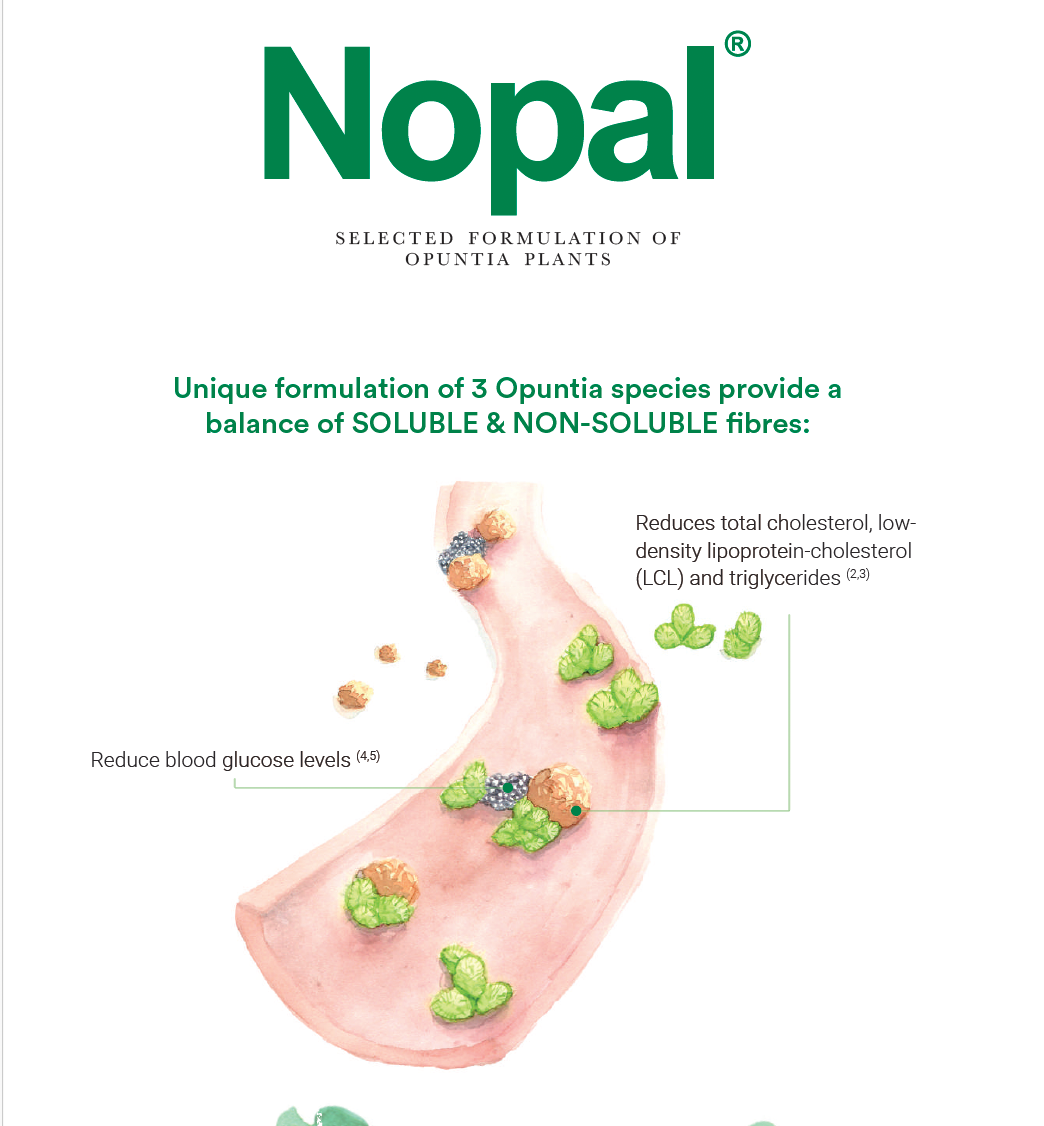 [mobileaid] Eurodrug Nopal 800mg Tablets 200's [LOCAL SG DELIVERY]