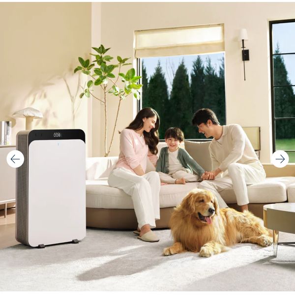 [mtech] Blueair Classic Pro CP9i(extra large room size, 5 ACH 775 sqft/72m¬≤) [LOCAL SG DELIVERY]