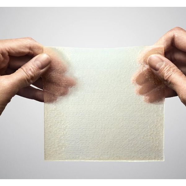 [mobileaid] M√∂lnlycke Exufiber Ag+ 2 x 45cm 5's/10cm x 10cm 10's [LOCAL SG DELIVERY]