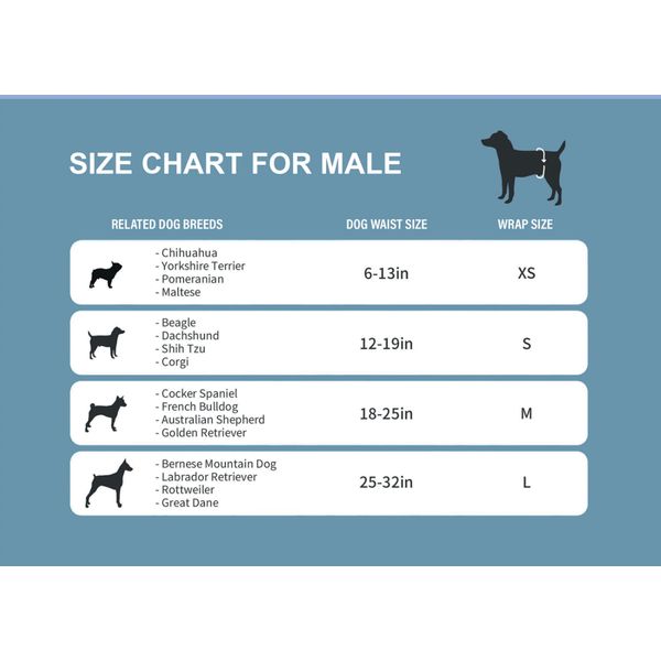 [mPets] HoneyCare Dog Diaper (Male) Extra Small/Small/Medium/Large/Extra Large 10 pcs [LOCAL SG DELIVERY]