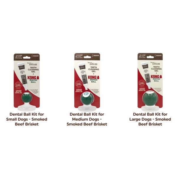 [mPets] TropiClean Enticers Dental Ball Kit for Dogs of Varying Sizes (Kong Ball + 1oz Cleaning Gel)* [LOCAL SG DELIVERY]