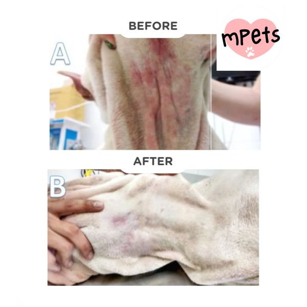 [mPets] HYDRA SOFT CARE PROPCALM SHAMPOO 300ML(10:1)     [LOCAL SG DELIVERY]