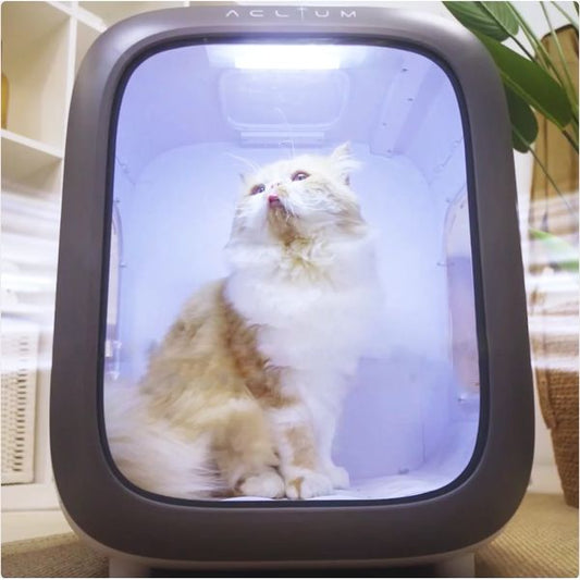 [mPets] Aclium Pet Dryer [LOCAL SG DELIVERY]