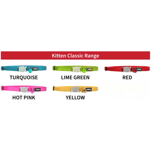 [mPets] RedDingo Cat/Kitten Collar - Classic Range (One size - Cat size/Kitten size) [LOCAL SG DELIVERY]