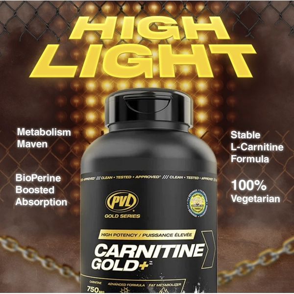 PVL Carnitine Gold+, L- Carnitine Supplement, Metabolic Energizer for Fat Burning, Rapid Absorption, 228 Vege Caps