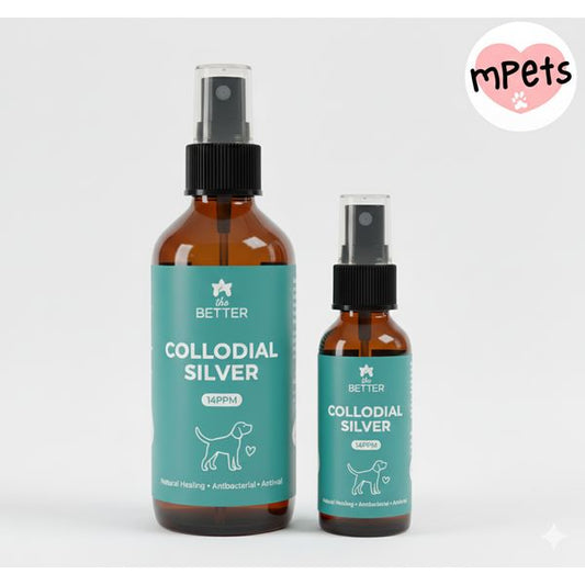 [mPets] The Better The Better Amber Colloidal Silver 60ml/120ml (Care & Solution)