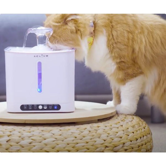 [mPets] Aclium Cat Water Fountain - Cordless [LOCAL SG DELIVERY]