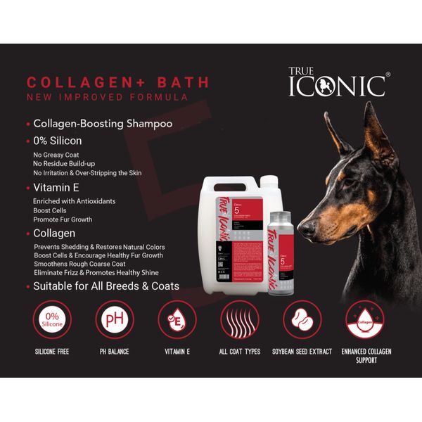 [mPets] True Iconic Bath & Care Series Shampoo & Conditioner for Dogs (400ml/1 Gallon Bottle) [LOCAL SG DELIVERY]