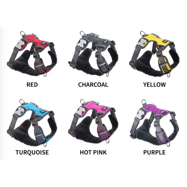[mPets] RedDingo Dog Harness (Padded) (XSmall/Small/Medium/Large/XLarge) [LOCAL SG DELIVERY]