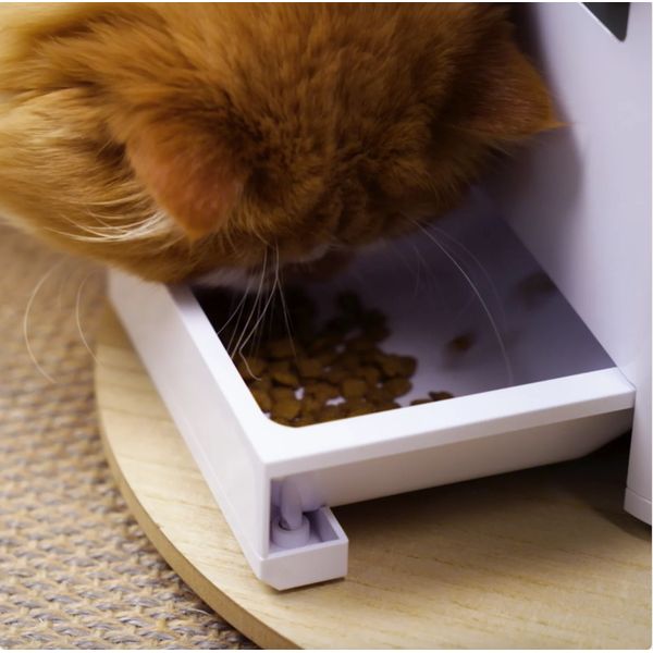 [mPets] Aclium Aclium Automatic Airtight Pet Feeder [LOCAL SG DELIVERY]