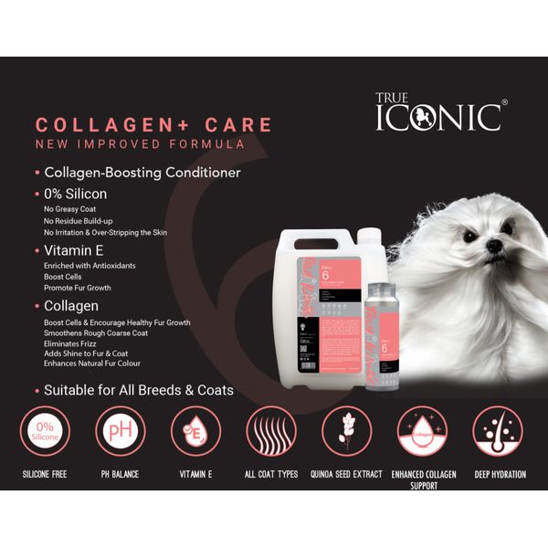 [mPets] True Iconic Bath & Care Series Shampoo & Conditioner for Dogs (400ml/1 Gallon Bottle) [LOCAL SG DELIVERY]